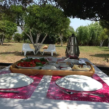 Dance And Sport Bed and Breakfast