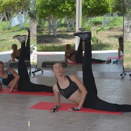Dance And Sport לינה וארוחת בוקר אקיארלר